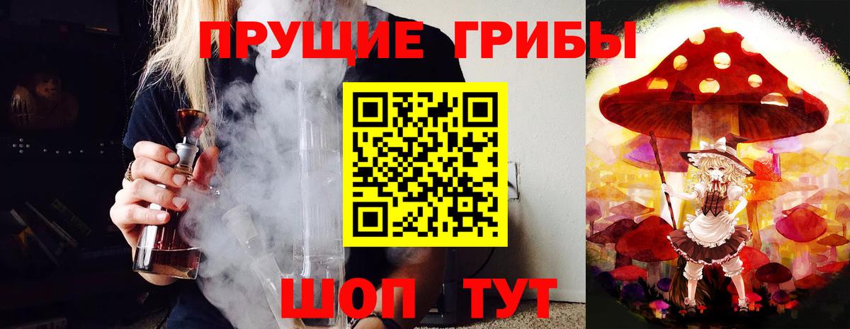 Курчатов  Псилоцибиновые грибы GOLDEN TEACHER  Вход с VPN  Псилоцибиновые грибы Cubensis 